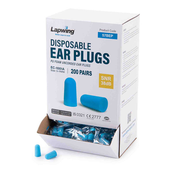Budget Ear Plugs