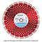 DT15-300/20 Delta Range Concrete Products Diamond Blade